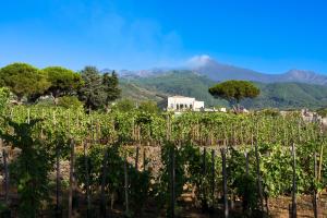 Φωτογραφία από το άλμπουμ του Locanda Quinto Arco σε Zafferana Etnea