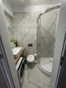 un bagno con doccia, WC e lavandino di Apartament Planeta 209 a Mielno