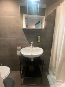 La salle de bains est pourvue d'un lavabo, d'un miroir et de toilettes. dans l'établissement Smartflats - Residence Collector, à Bruxelles
