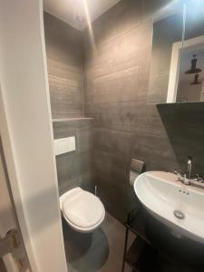 La salle de bains est pourvue de toilettes blanches et d'un lavabo. dans l'établissement Smartflats - Residence Collector, à Bruxelles