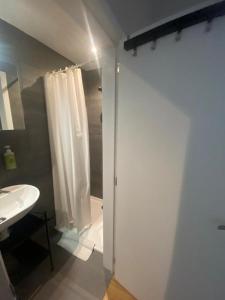 La salle de bains est pourvue d'un rideau de douche et d'un lavabo. dans l'établissement Smartflats - Residence Collector, à Bruxelles