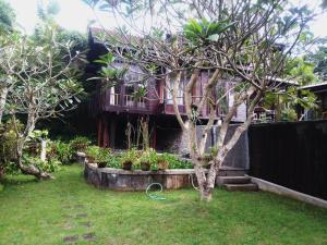 un jardin avec un arbre en face d'une maison dans l'établissement Wooden House Pool View by Malathi Villas, à Ubud