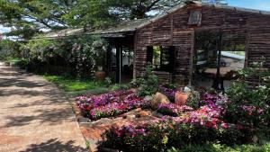 Zahrada ubytování JE T'AIME VILLA - Khu nghỉ dưỡng nhà vườn nằm giữa thiên nhiên bao la hoa cỏ