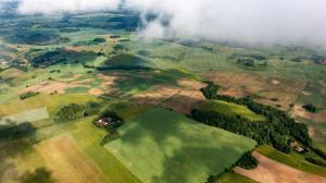 Przyroda w pobliżu tego gospodarstwa agroturystycznego