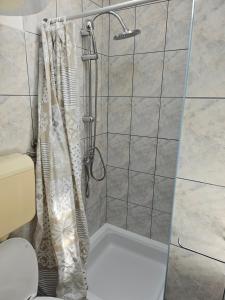 a shower in a bathroom with a shower curtain at Apartman BARAKA in Šibenik +39 photos
