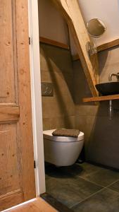 ein Bad mit einem WC und einem Waschbecken in der Unterkunft B&B Van Amsterdam in Middelburg