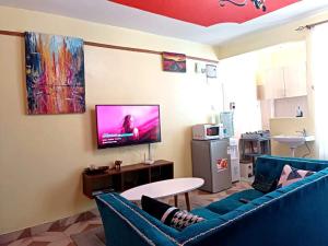 TV/Unterhaltungsangebot in der Unterkunft Cosy Studio Apartment,TRM Drive, Nairobi
