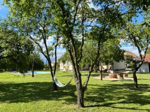 een hangmat hangend aan een boom in een park bij Tisza Love in Poroszló