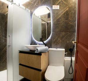 a bathroom with a sink and a toilet and a mirror at New Flat near Paris with Secure Parking 7' to RER B direct line CDG ORY in Le Plessis-Robinson