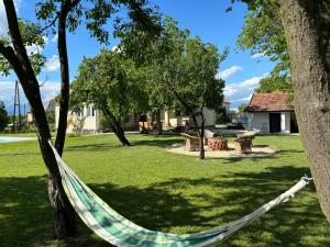 波羅斯洛的住宿－Tisza Love，挂在公园两棵树之间的吊床