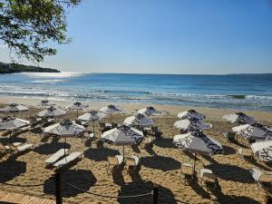 a group of umbrellas and chairs on a beach at Olive Villas Beach Hotel in Sozopol