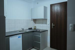 a small kitchen with a sink and a counter at Kompleks Tawerna Vito - Apartamenty Vito in Czorsztyn