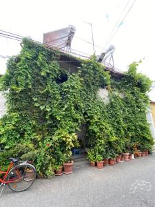un edificio ricoperto di piante con una bicicletta parcheggiata di fronte di Cloud 9 Hostel a Shkodër