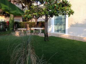 een tuin met een tafel en een boom bij Appartamento in centro, a 150 m dal mare in Pineto