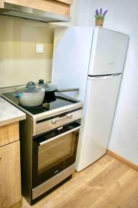 Kuchyň nebo kuchyňský kout v ubytování Metaxa apartment