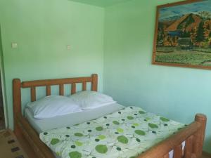 a bed in a bedroom with a picture on the wall at Cabana Silvia in Gheorgheni