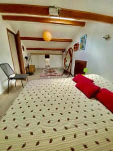 a large bedroom with a large bed with red pillows at Gite 4p, 2 chambres, jardin, piscine à partager in Alba-la-Romaine
