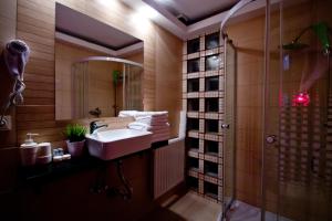 La salle de bains est pourvue d'un lavabo et d'une douche. dans l'établissement Premium Residence, à Braşov
