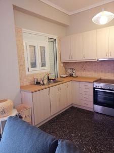 Kuchyň nebo kuchyňský kout v ubytování Serenity Apartment