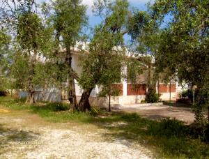 A garden outside Villa Margherita