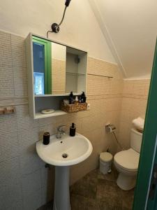 a bathroom with a sink and a toilet and a mirror at Alechimmo Authentic Corfiot Style House - 2 Bedrooms - Split Level in Lefkimmi +28 photos