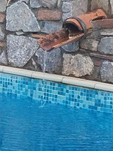 uma piscina com uma fonte junto a uma parede de pedra em Vicky's B&B by V em Papasidero