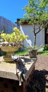 A garden outside Shanti Ca' casa indipendente con giardino