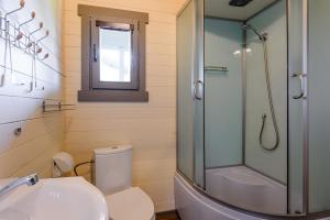 a bathroom with a shower and a toilet and a sink at Nameliai Penkios gulbės in Šventoji +42 photos