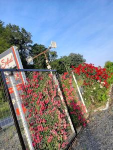 Zahrada ubytování Sofial Guesthouse