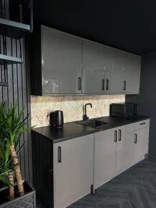 Η κουζίνα ή μικρή κουζίνα στο Eco house 2