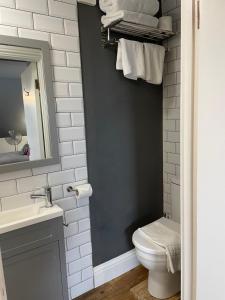 uma casa de banho com um WC, um lavatório e um espelho. em Skyline Guesthouse em Newquay