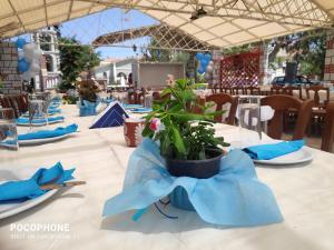 Fotografie z fotogalerie ubytování Relaxing stay a cozy yacht on the island of Lesbos v destinaci Panagioúda + 27 fotografií