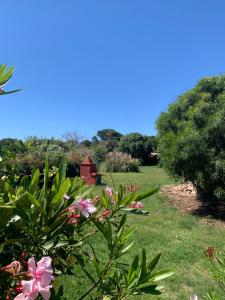 A garden outside Casa MìMì