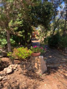 A garden outside Casa MìMì