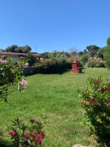 un prato di erba con fienile rosso e fiori di Casa MìMì a La Maddalena