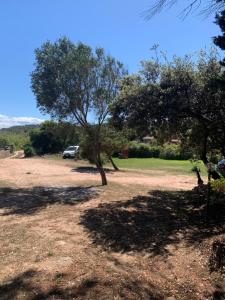 un'auto parcheggiata in un campo con un albero di Casa MìMì a La Maddalena