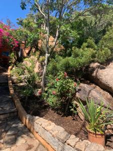 A garden outside Casa MìMì