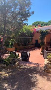 A garden outside Casa MìMì