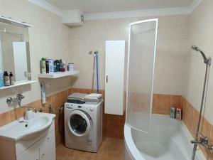 a bathroom with a washing machine and a sink at Apartmány Svítkov 79 in Pardubice