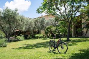 Una bicicleta estacionada en el césped frente a una casa en La Muccheria, en San Vincenzo