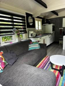 een woonkamer met een bank en een keuken bij Sfeervolle blokhut op de Veluwe op recreatiepark Topparken in Beekbergen met vrije tuin en eigen parkeerplaats in Beekbergen