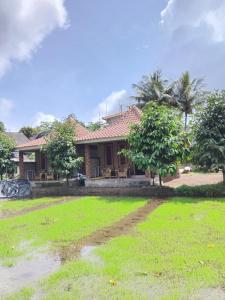 une maison avec une cour d'herbe devant elle dans l'établissement Tereng Wilis bungalows, à Tetebatu