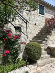 Zahrada ubytování Apartment Lovre Topic