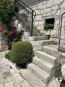 un conjunto de escaleras de piedra con un arbusto y flores en Apartment Lovre Topic, en Baška Voda