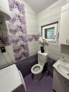 y baño con aseo y lavamanos. en Apartment Lovre Topic, en Baška Voda