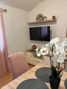 TV a/nebo společenská místnost v ubytování Apartment Lovre Topic