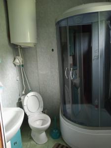a bathroom with a shower and a toilet and a sink at Закарпатский сруб in Krasna