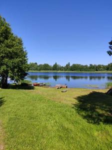 a view of a lake with some animals in the water at Pie Ventas in Ventspils