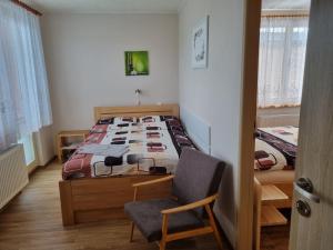 1 dormitorio con 1 cama y 1 silla en Ubytování Šustovka, en Třeboň