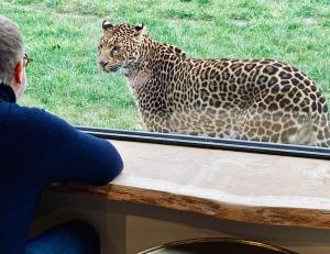 Φωτογραφία από το άλμπουμ του Lodges insolites chez RDV en Terre Animale σε Sury-aux-Bois